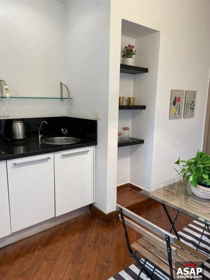 Amazing Apartment for Rent in Zamalek Amazing Apartment for Rent in Zamalek