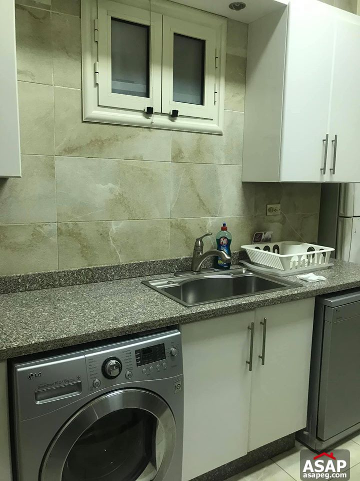 Flat for Rent in Zamalek Flat for Rent in Zamalek