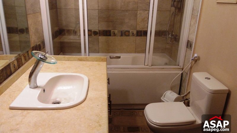 Modern Furnished Apartment for Rent in Mohandiseen