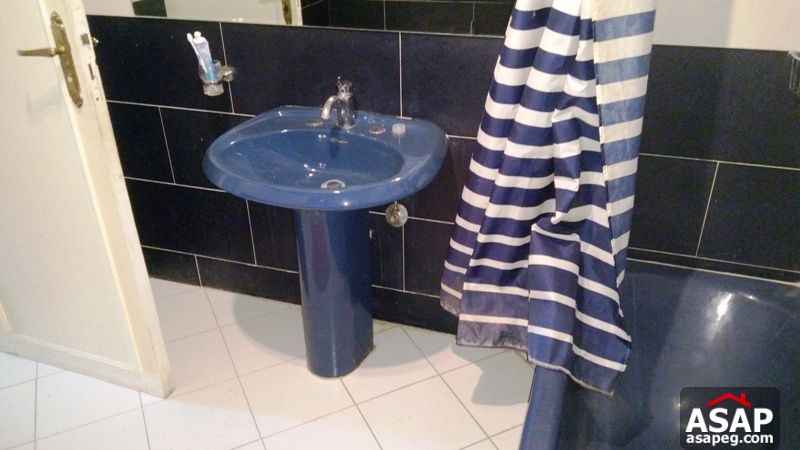 Apartment for rent in zamalek