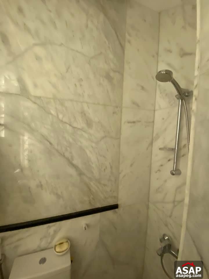 Apartment for Rent in Zamalek Apartment for Rent in Zamalek