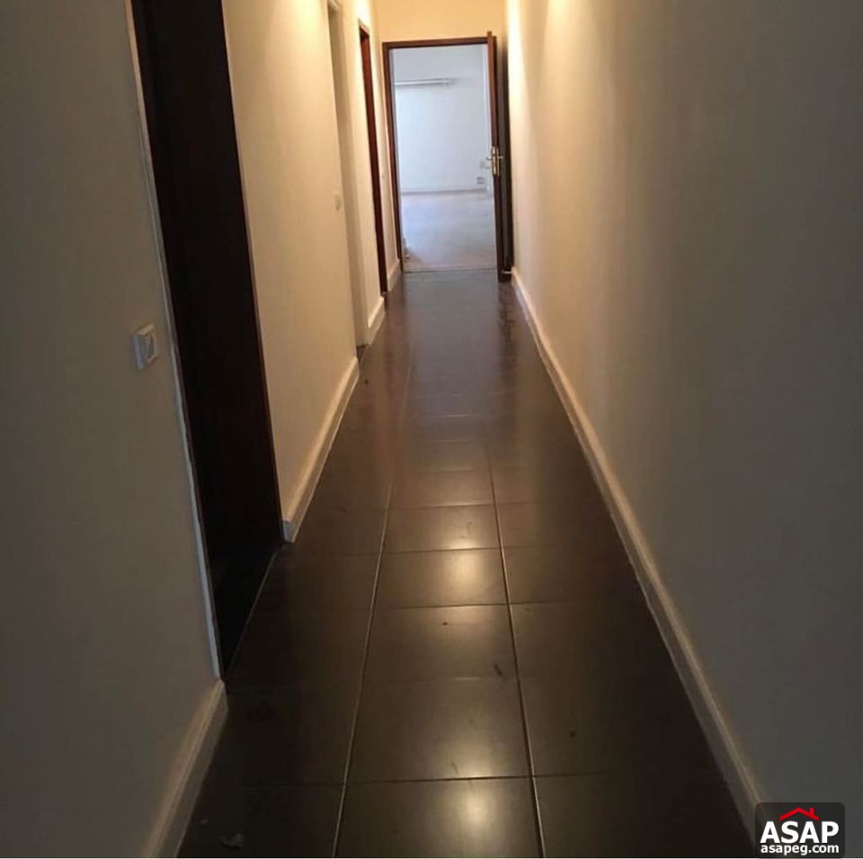 Apartment for Rent in Zamalek Apartment for Rent in Zamalek