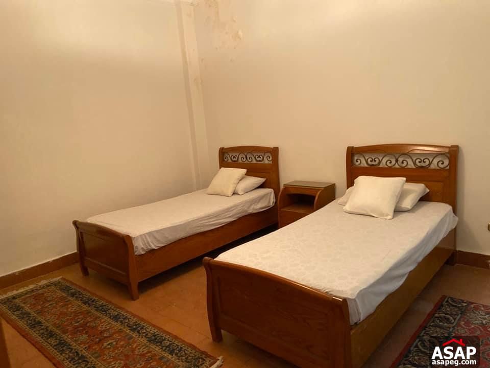 Apartment for Rent in Zamalek Apartment for Rent in Zamalek