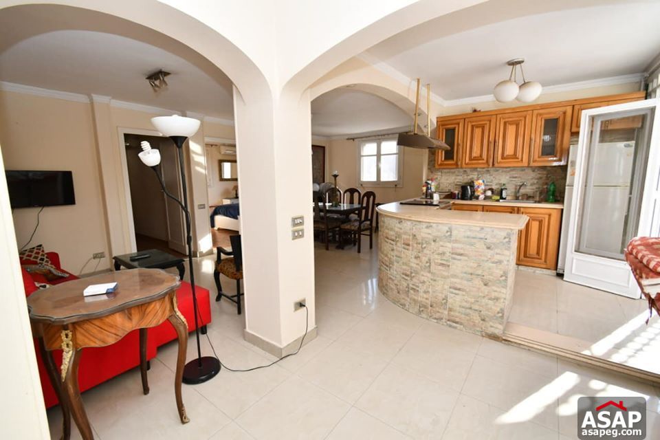 Penthouse for Rent in Zamalek Penthouse for Rent in Zamalek