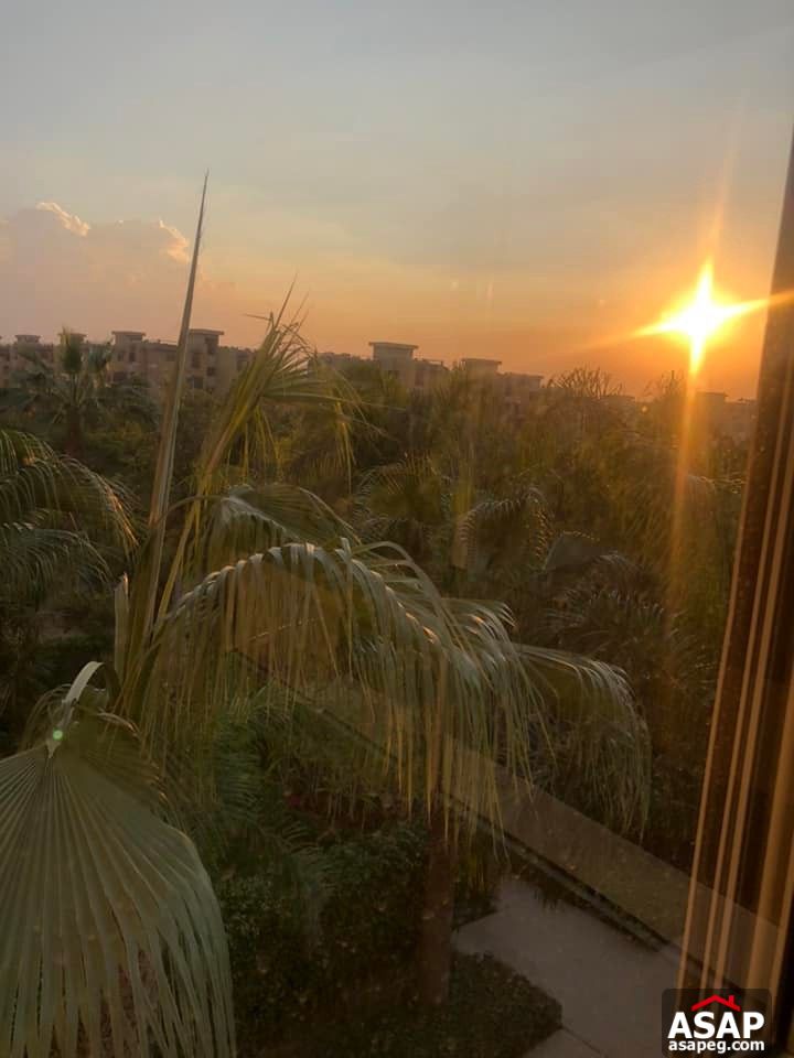 Apartment with Park View for Rent in Park View Hassan Allam Apartment with Park View for Rent in Park View Hassan Allam