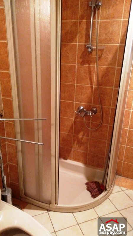 Apartment for rent in zamalek