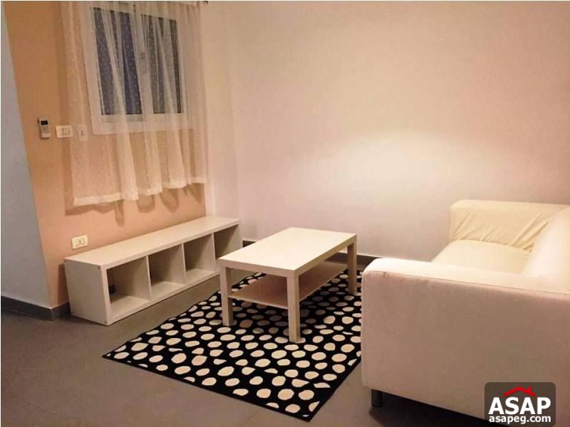 Furnished Apartment with Nile View for Rent in Maadi Furnished Apartment with Nile View for Rent in Maadi