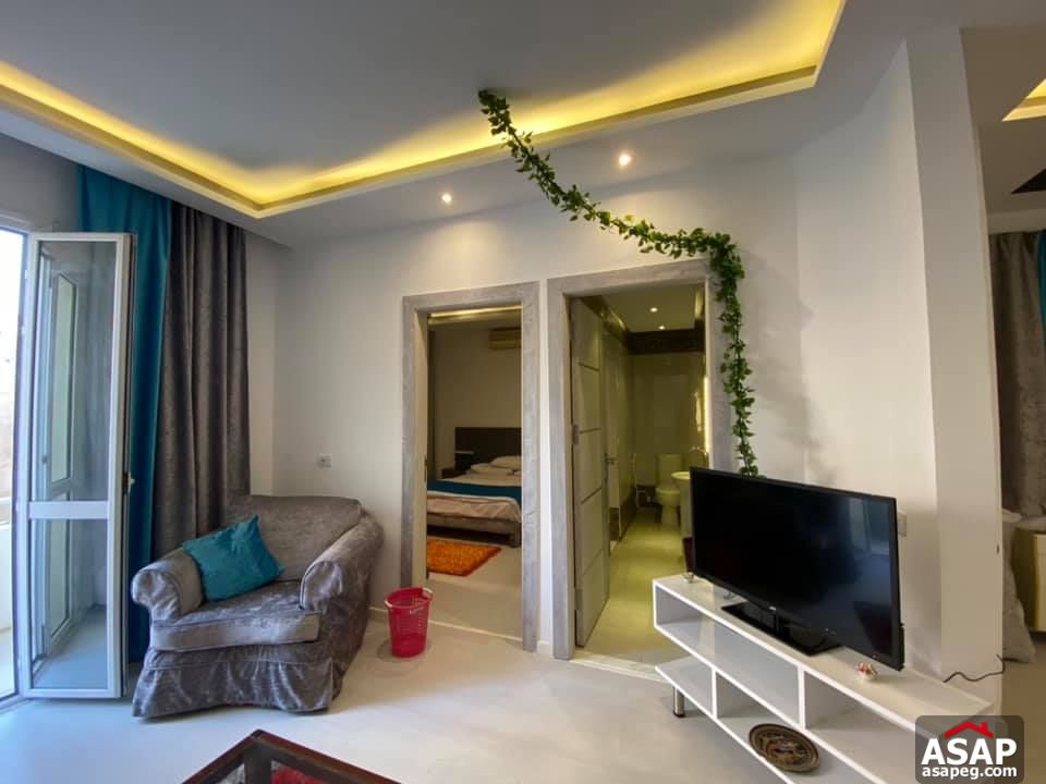 Apartment for Rent in Zamalek Apartment for Rent in Zamalek