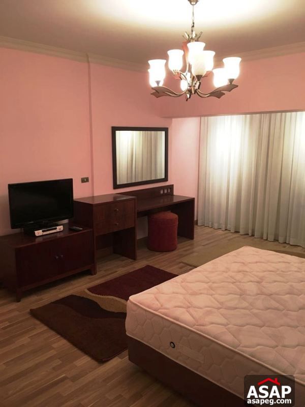 Furnished Apartment with Nile View in Dokki