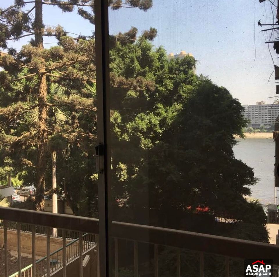 Apartment for Rent in Zamalek Apartment for Rent in Zamalek