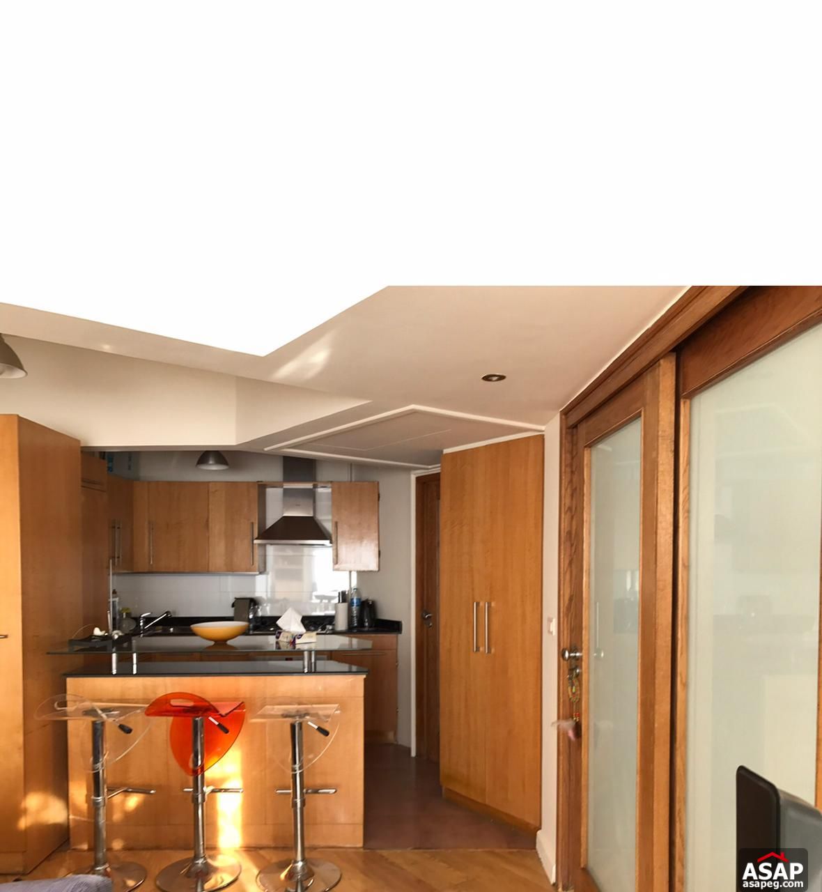 Furnished Studio for Rent in Zamalek Furnished Studio for Rent in Zamalek