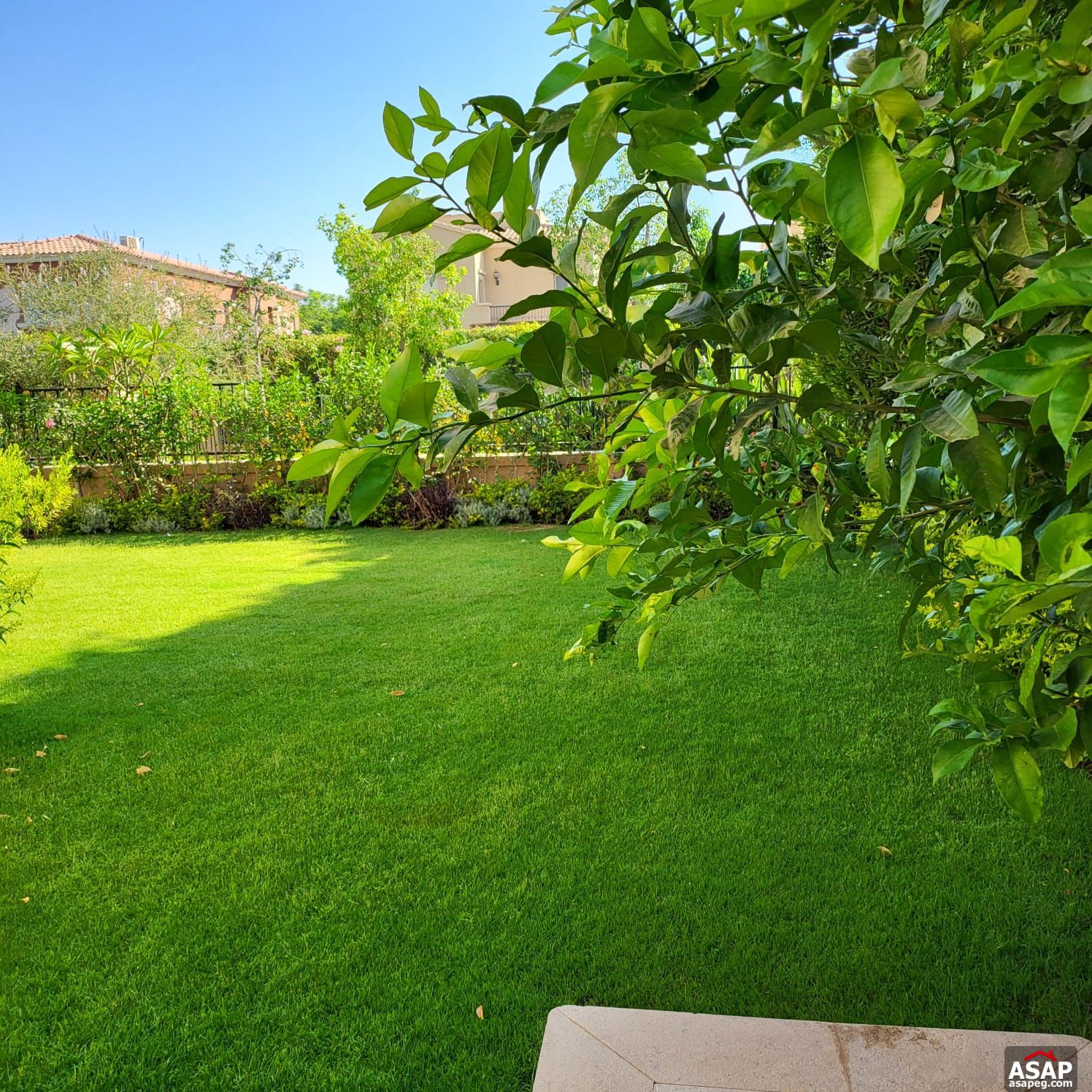 Furnished Villa for Rent in Mivida Compound