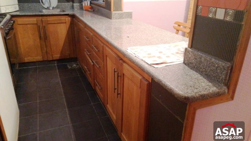 Fully Furnished Apartment for Rent in Zamalek Fully Furnished Apartment for Rent in Zamalek