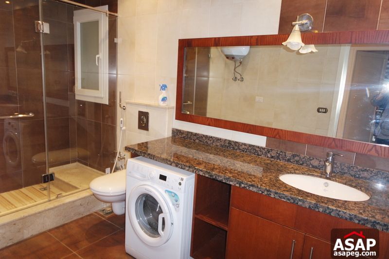 Apartment for Rent in Zamalek Apartment for Rent in Zamalek