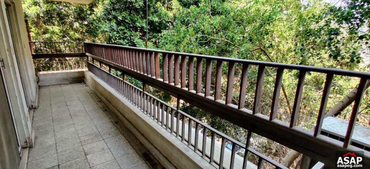 Apartment for Rent in Zamalek Apartment for Rent in Zamalek