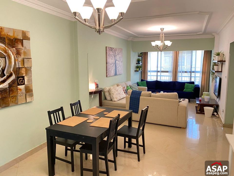 Apartment for Rent in Maadi Degla Apartment for Rent in Maadi Degla