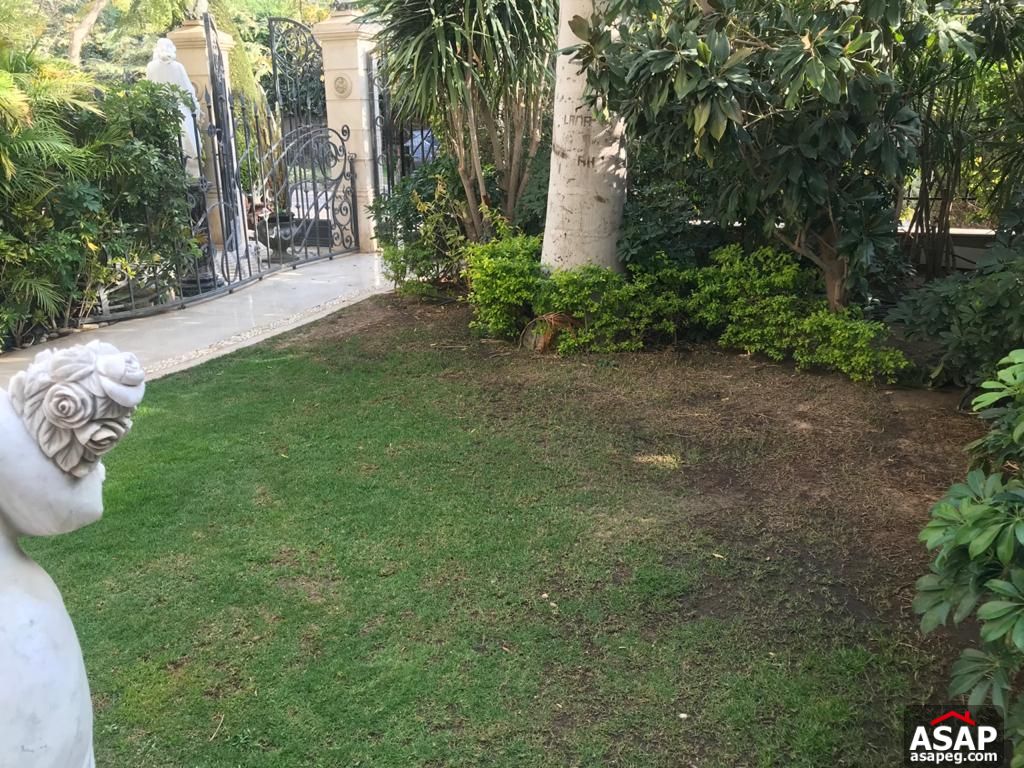 Ground Floor for Rent in Katameya Heights Ground Floor for Rent in Katameya Heights