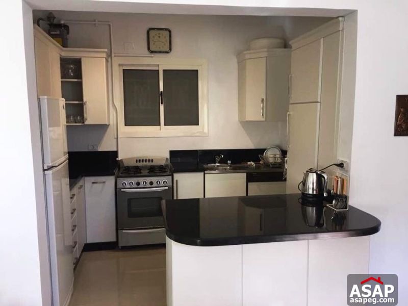 apartment for rent in zamalek apartment for rent in zamalek