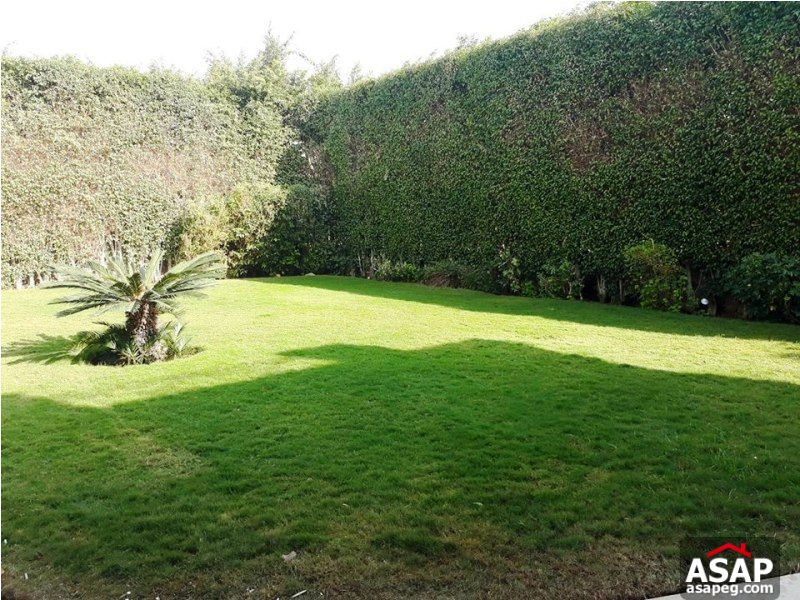 Villa for Rent in Katameya Heights Villa for Rent in Katameya Heights