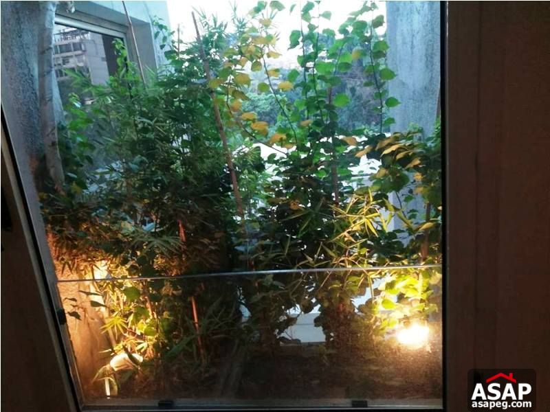 Apartment with Balcony in Zamalek for Rent Apartment with Balcony in Zamalek for Rent