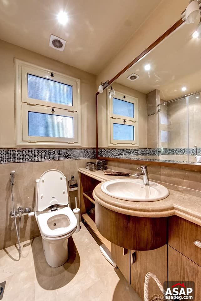 Apartment for Rent in Zamalek Apartment for Rent in Zamalek