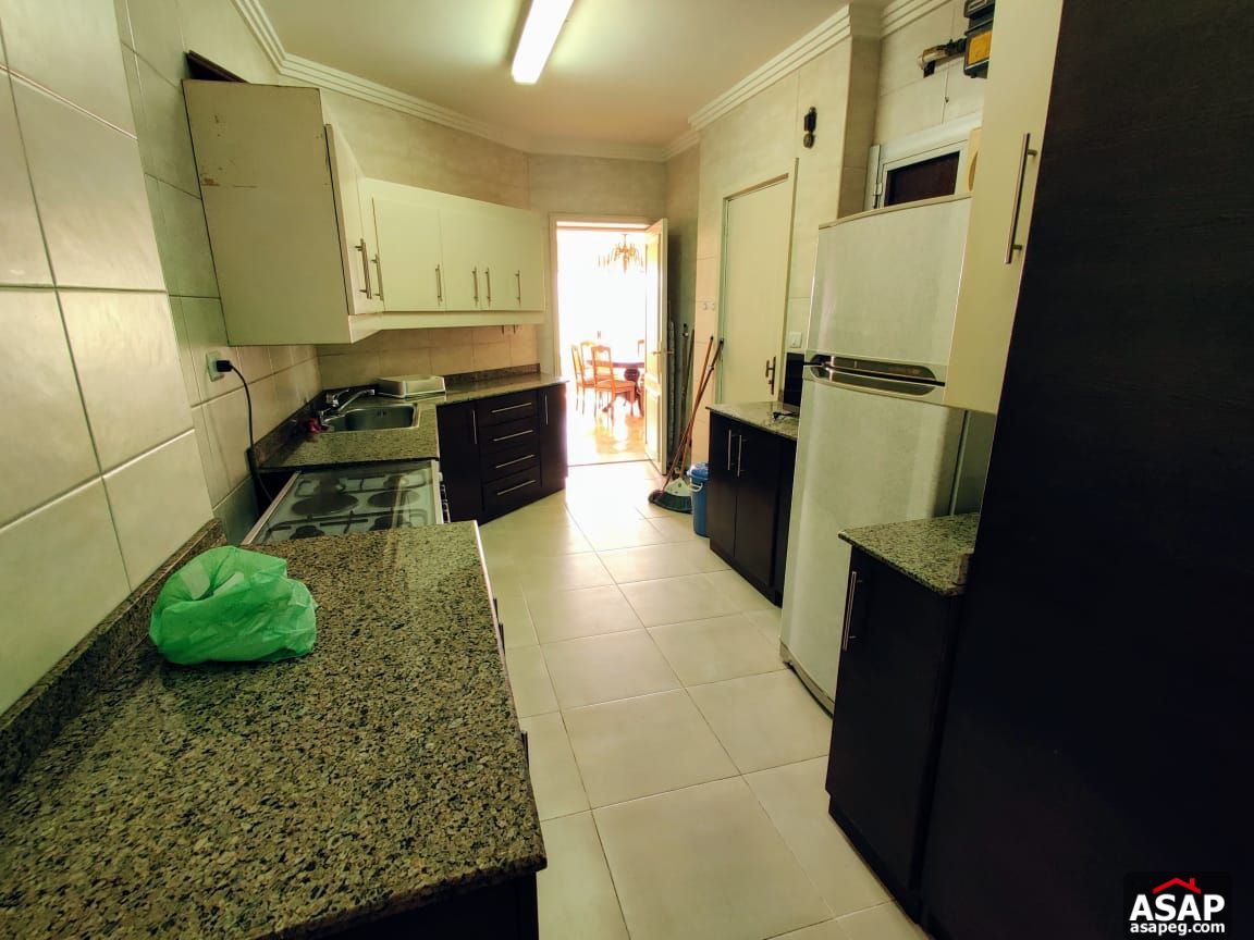 Apartment for Rent in Zamalek Apartment for Rent in Zamalek