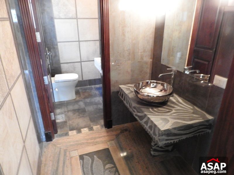 Modern Penthouse for Rent in Zamalek