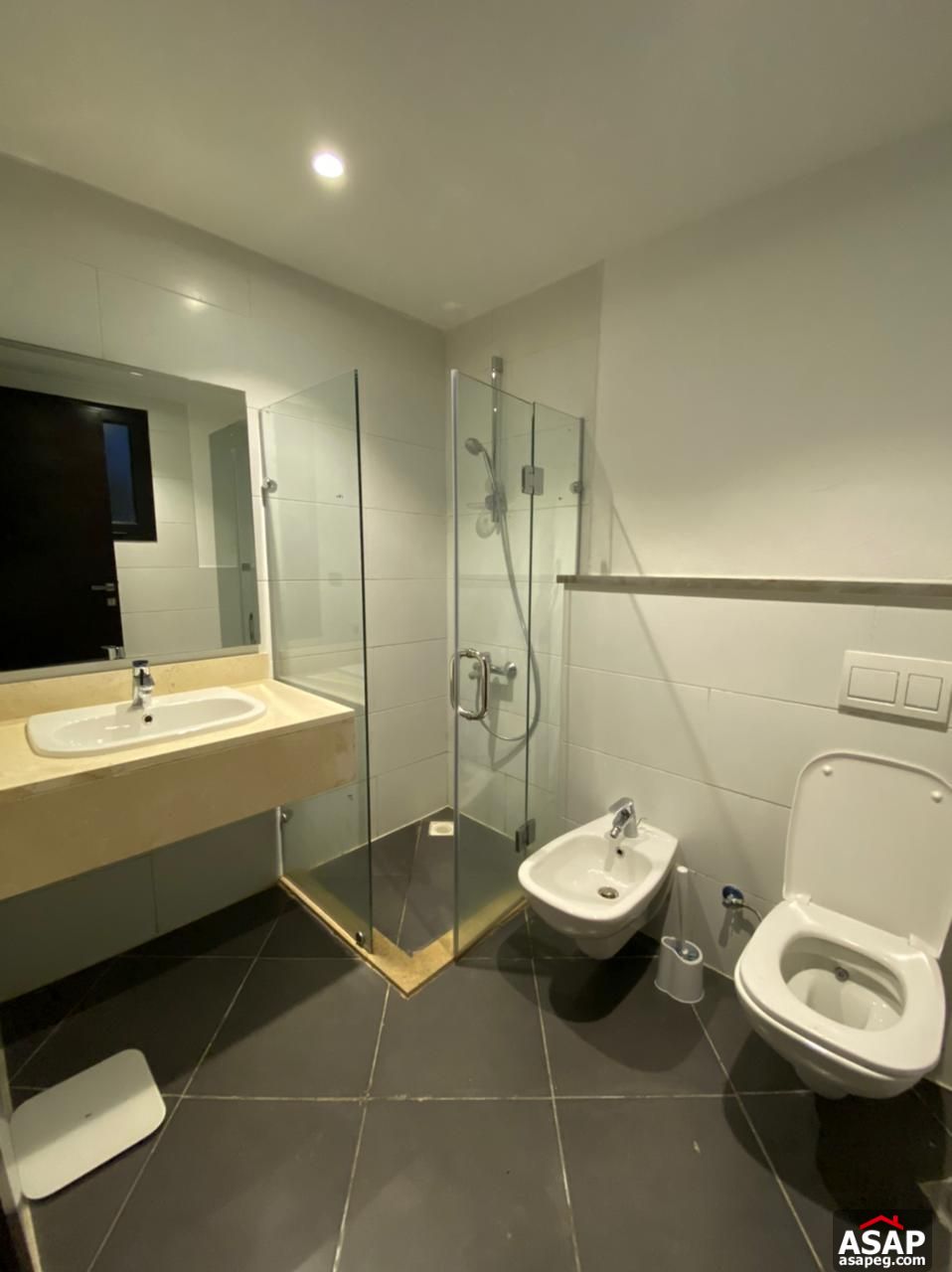 Furnished Apartment for Rent in The WaterWay