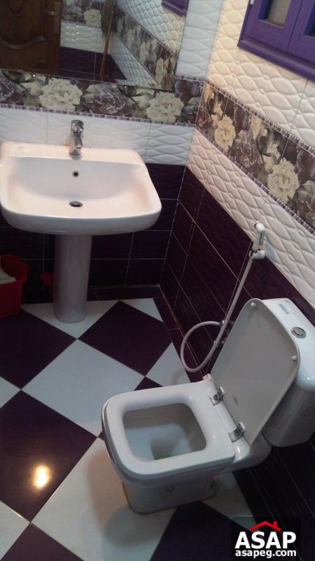 Furnished Apartment for Rent in Zamalek