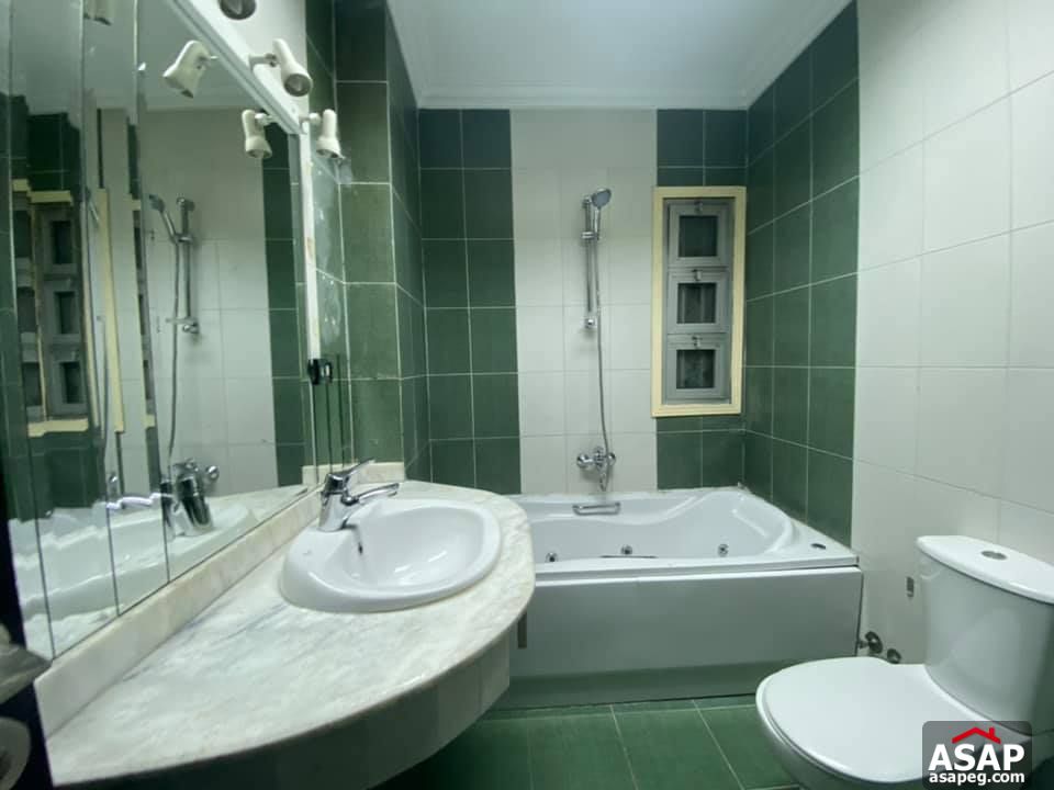 Apartment with Nile View for Rent in Zamalek Apartment with Nile View for Rent in Zamalek