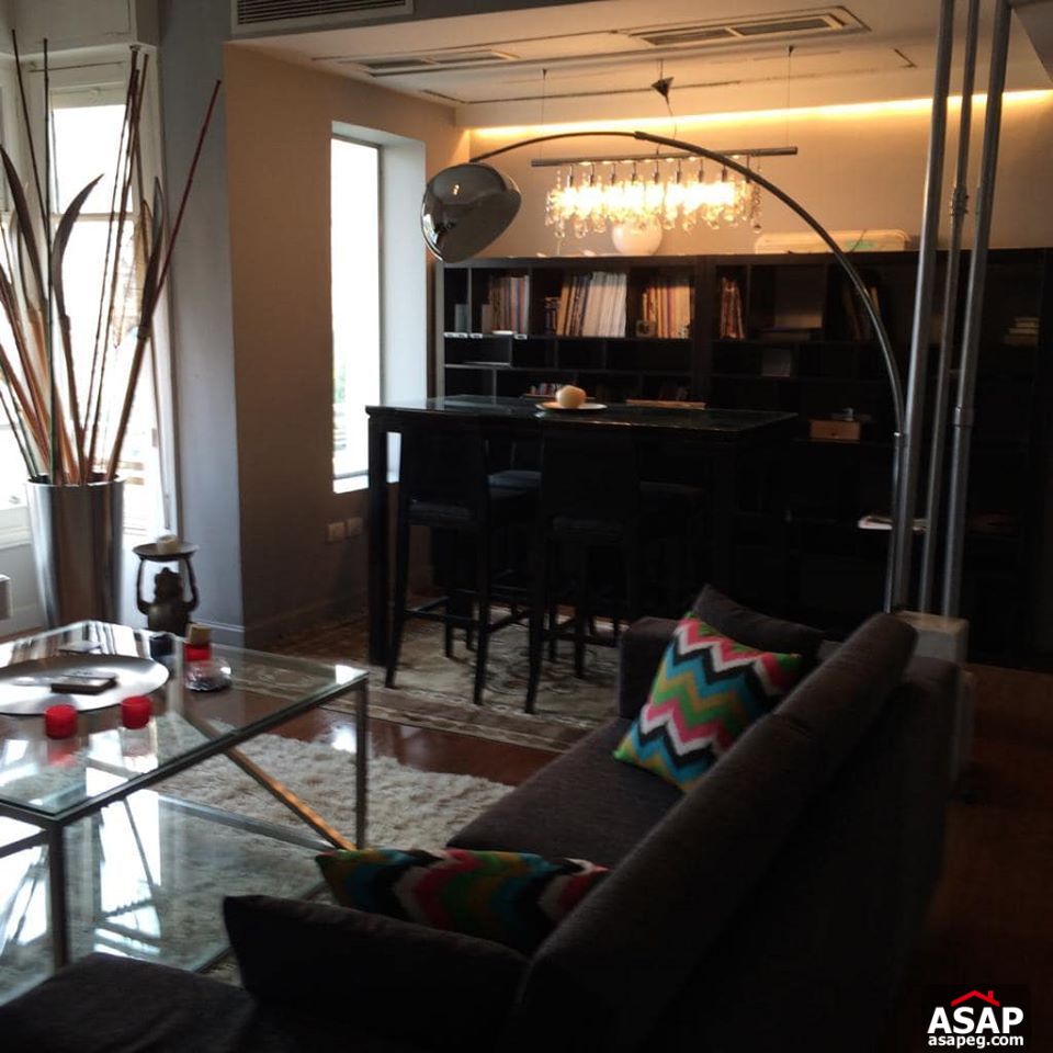 Apartment for Rent in Zamalek Apartment for Rent in Zamalek