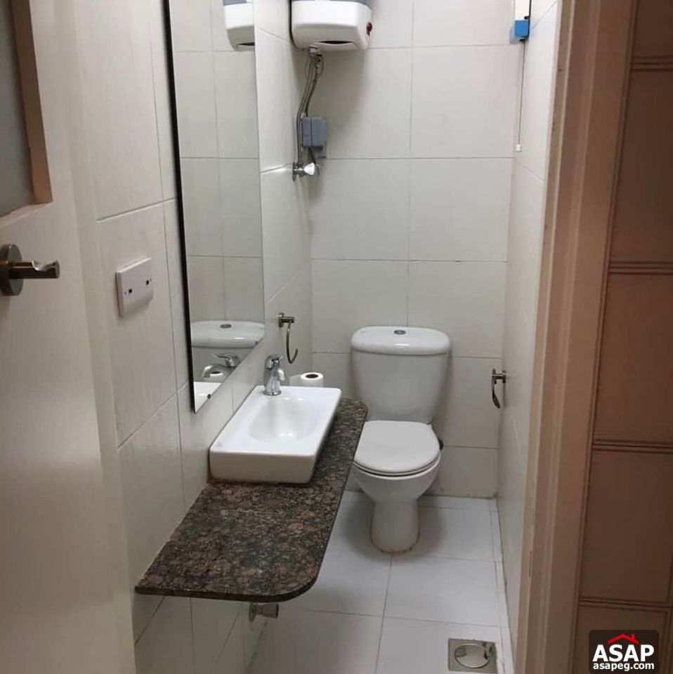 Apartment for Rent in Zamalek Apartment for Rent in Zamalek