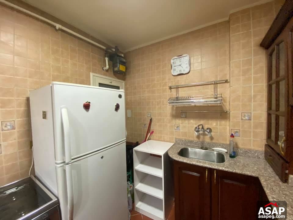 Flats for Rent in Zamalek Flats for Rent in Zamalek