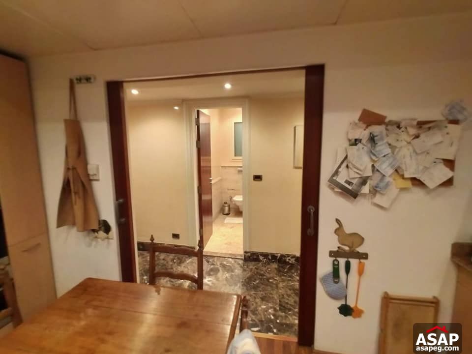 Furnished Apartment for Rent in Zamalek Furnished Apartment for Rent in Zamalek