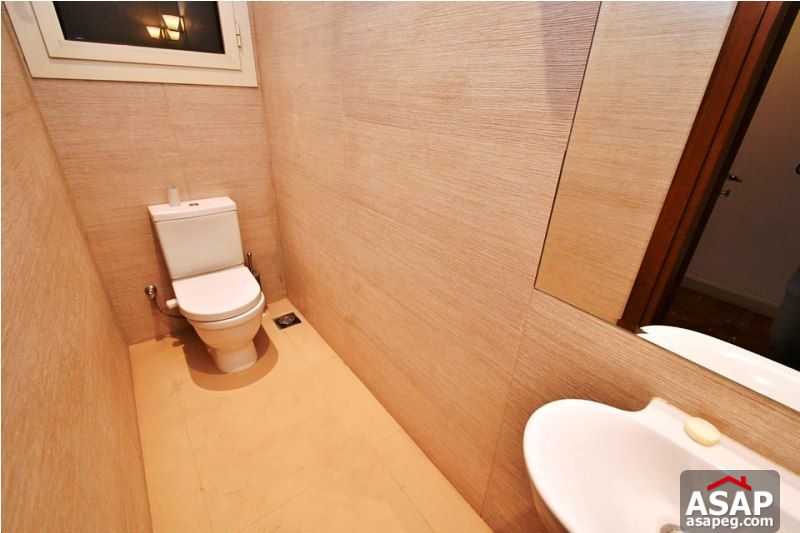 Apartment wit Club View for Sale in Zamalek Apartment wit Club View for Sale in Zamalek