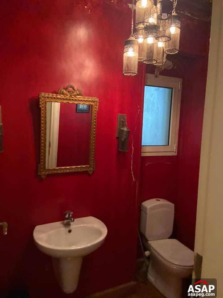 Apartment for Rent in Zamalek