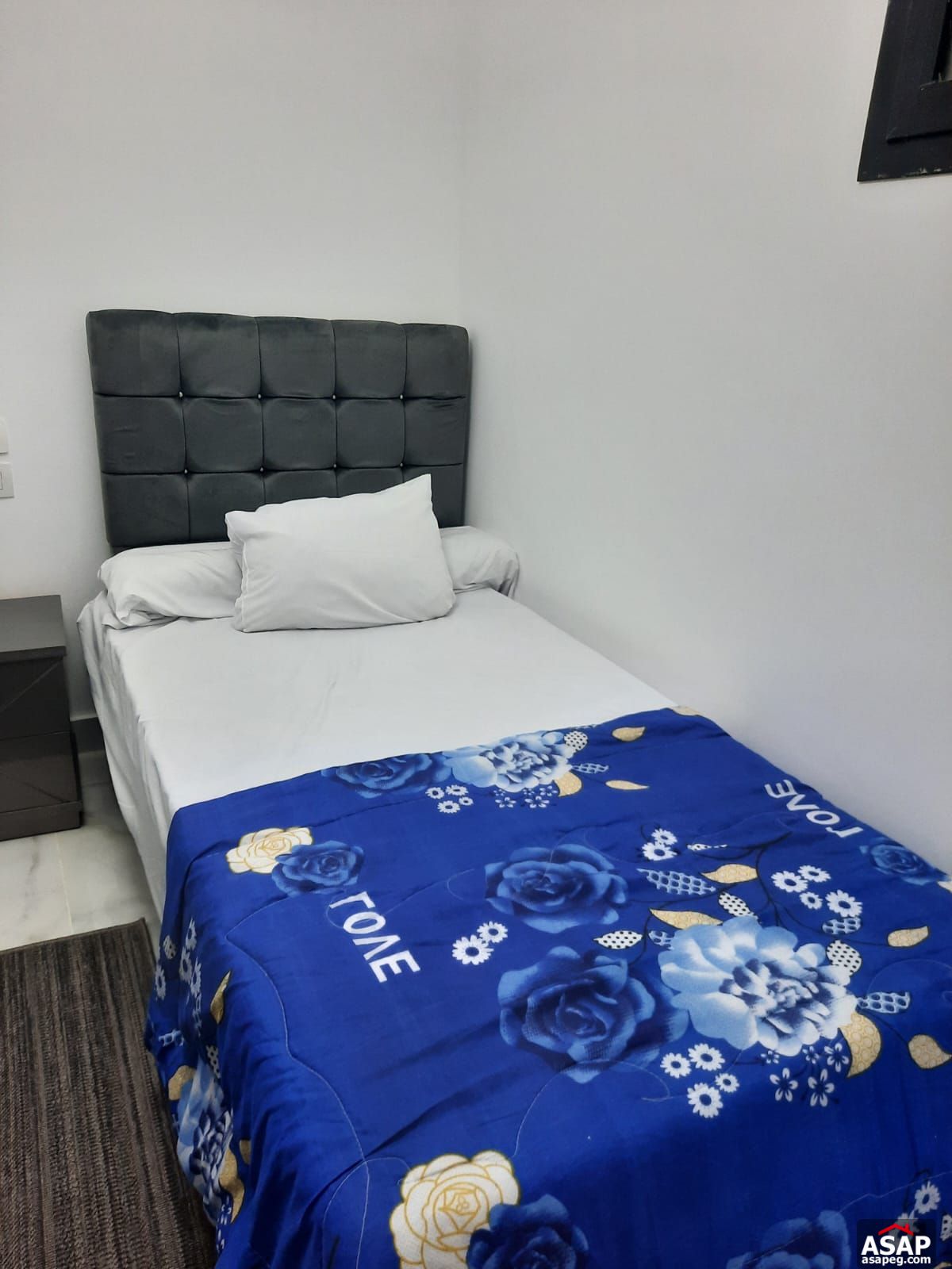 Furnished Apartment for Rent in Villette Sodic