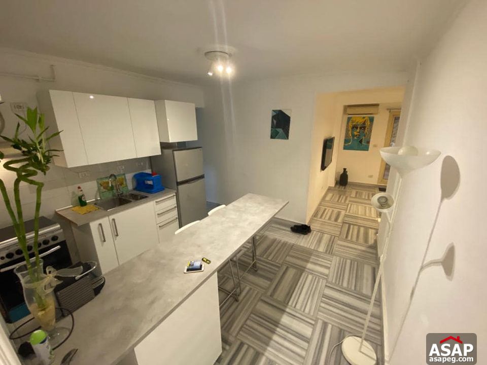 Furnished Apartment for Rent in Zamalek Furnished Apartment for Rent in Zamalek