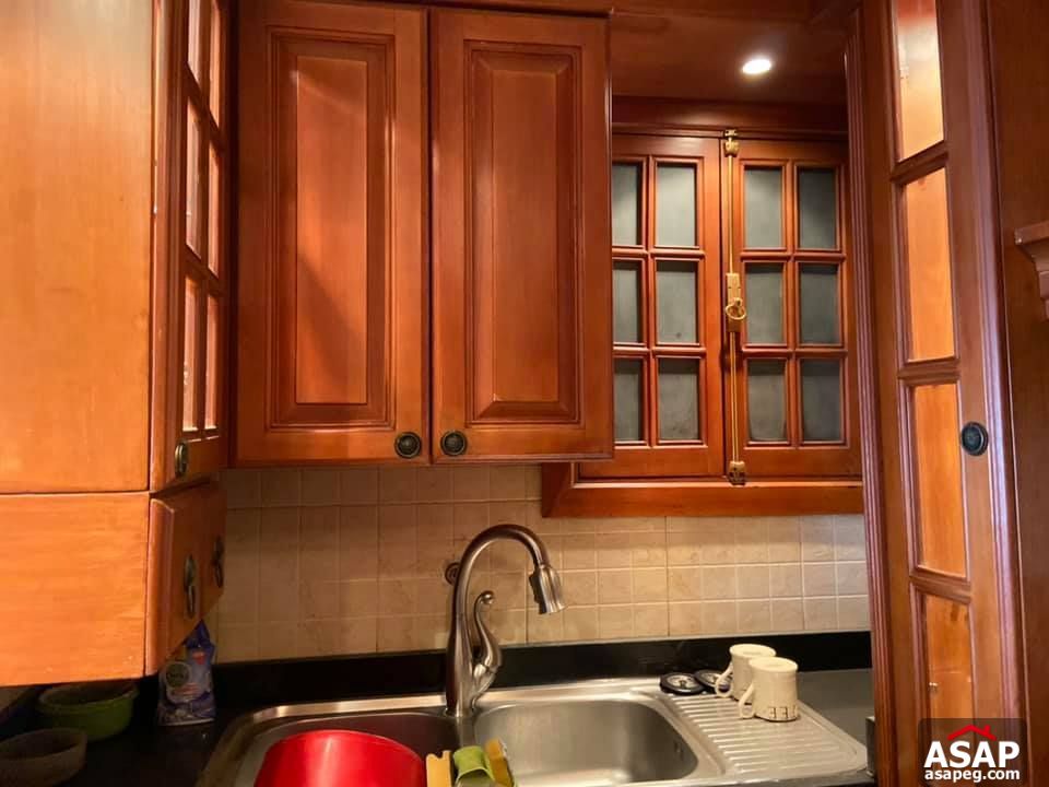 Apartment for Rent in Dokki Apartment for Rent in Dokki