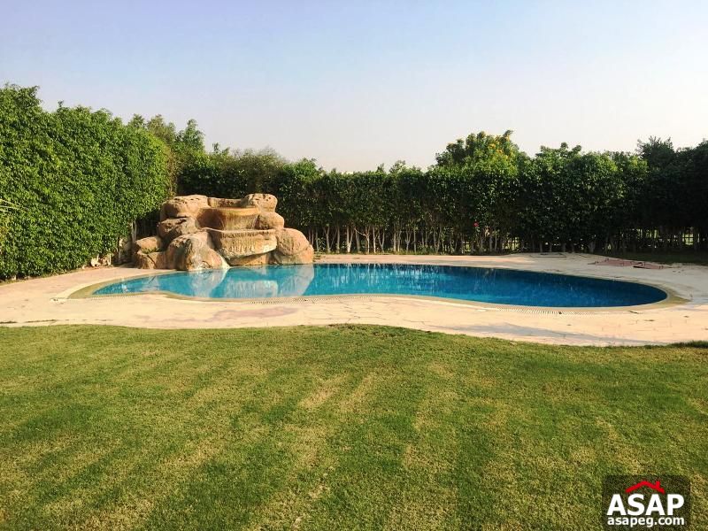 Duplex with Swimming Pool for Rent in Katameya Heights Duplex with Swimming Pool for Rent in Katameya Heights