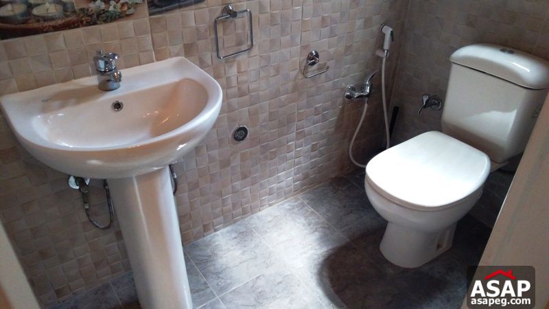 Apartment for rent in zamalek Apartment for rent in zamalek