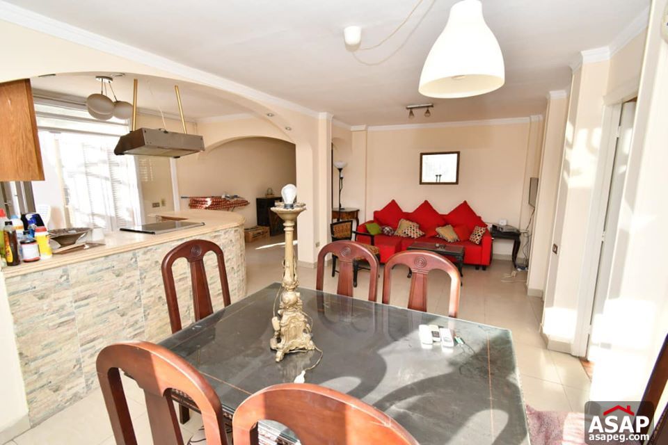 Penthouse for Rent in Zamalek Penthouse for Rent in Zamalek