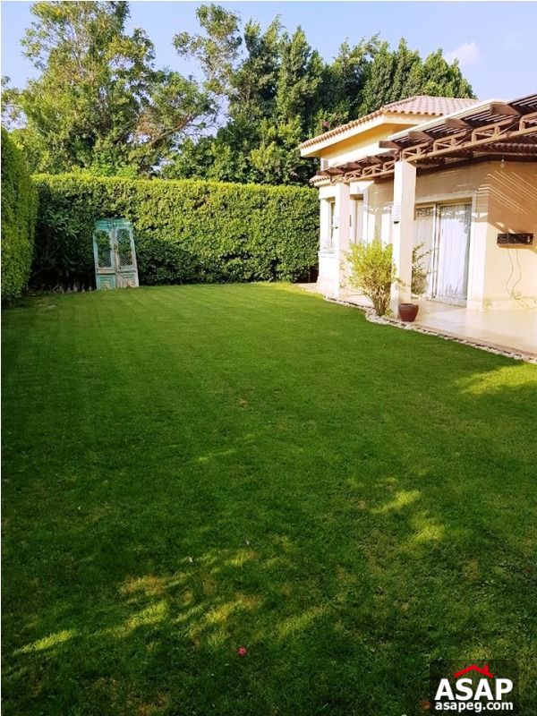Villa with Big Garden for Rent in Sheikh Zayed Villa with Big Garden for Rent in Sheikh Zayed
