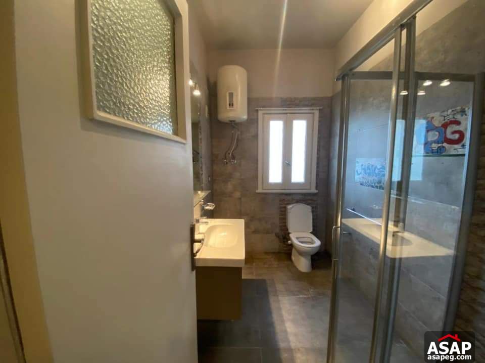 Big Apartment for Rent in Zamalek Big Apartment for Rent in Zamalek