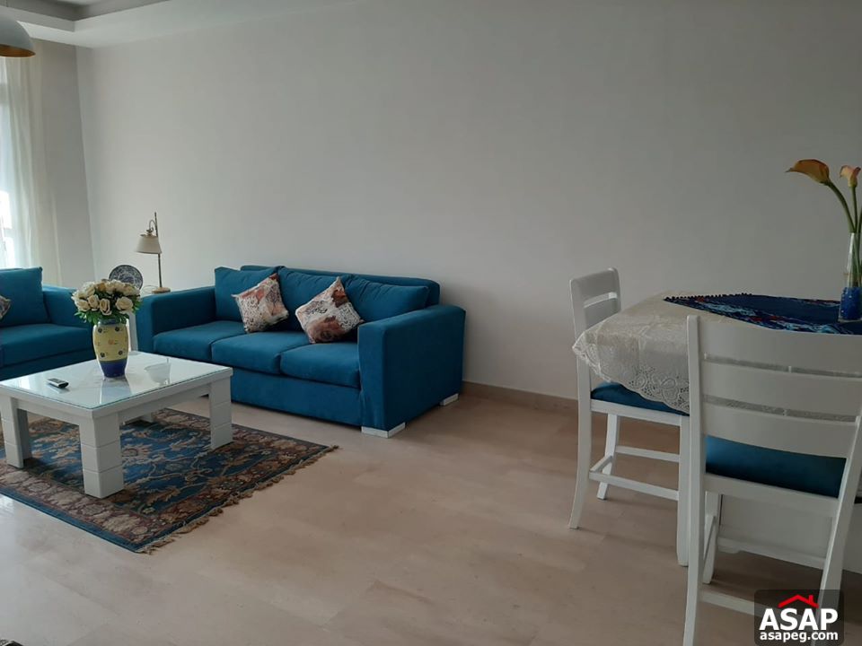 Apartment for Rent in Cairo Festival City