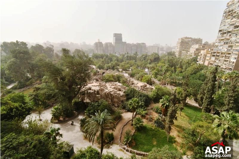 Property with Garden View in Zamalek Property with Garden View in Zamalek
