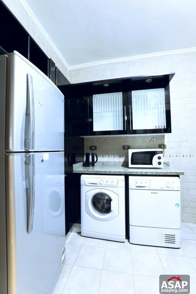 Apartment for Rent in Zamalek Apartment for Rent in Zamalek