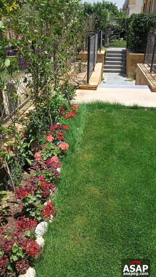 Ground Floor for Rent in Eastown Sodic