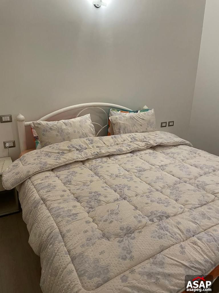 Furnished Flat for Rent in Village Gate Palm Hills Furnished Flat for Rent in Village Gate Palm Hills