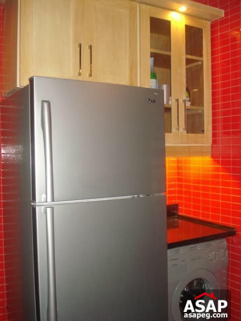 Furnished Apartment for Rent in Zamalek Furnished Apartment for Rent in Zamalek